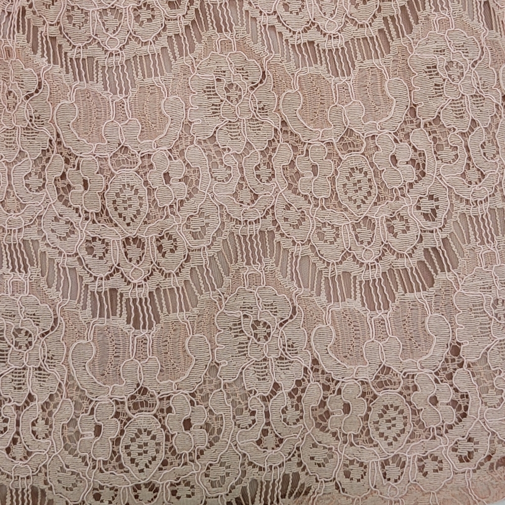 Delia's Sleeveless Open Back Lace Dress - Picture 12 of 12
